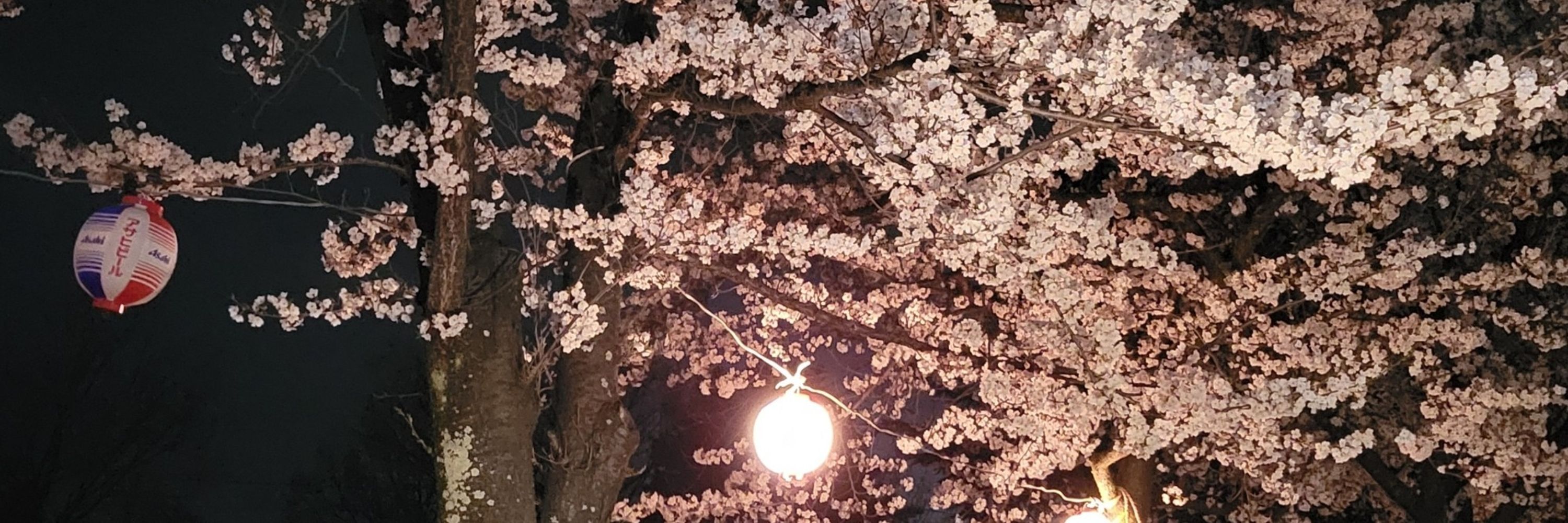 ゑ