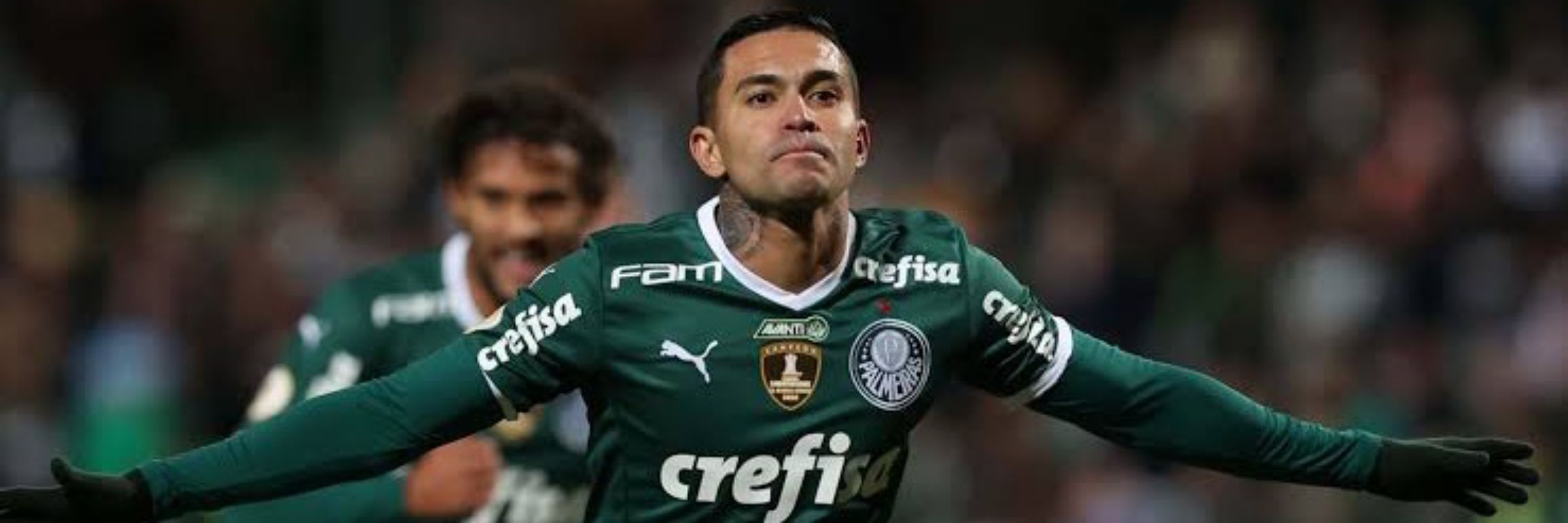 Matheus Delinardo