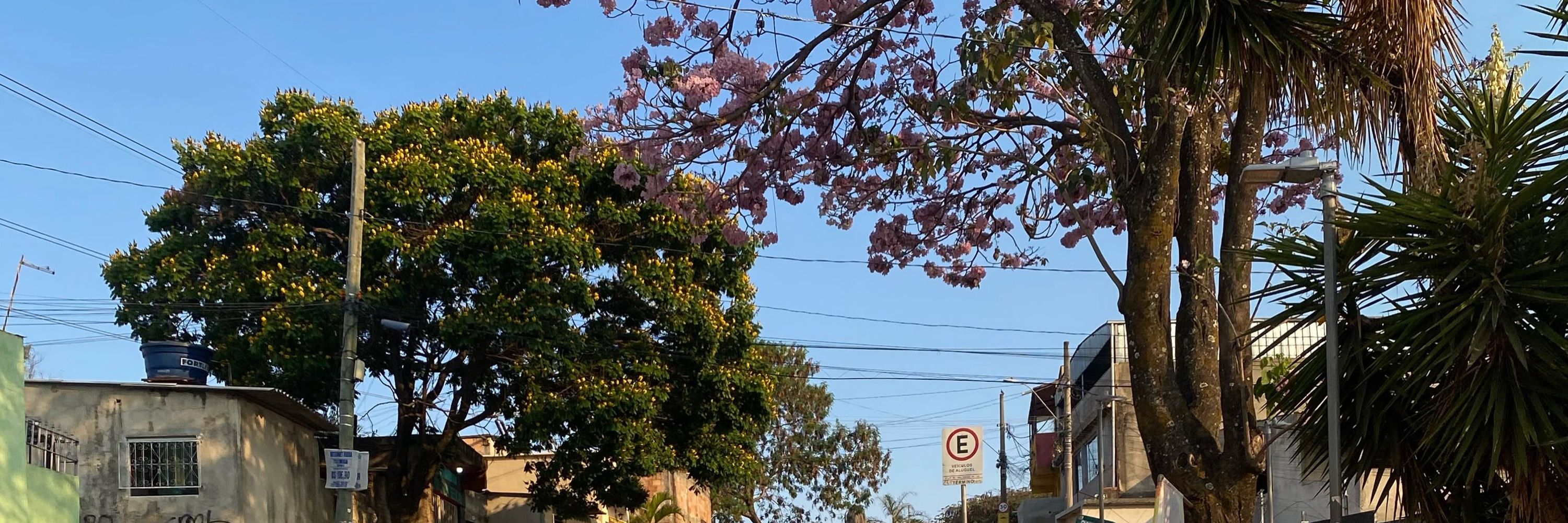 J0TA