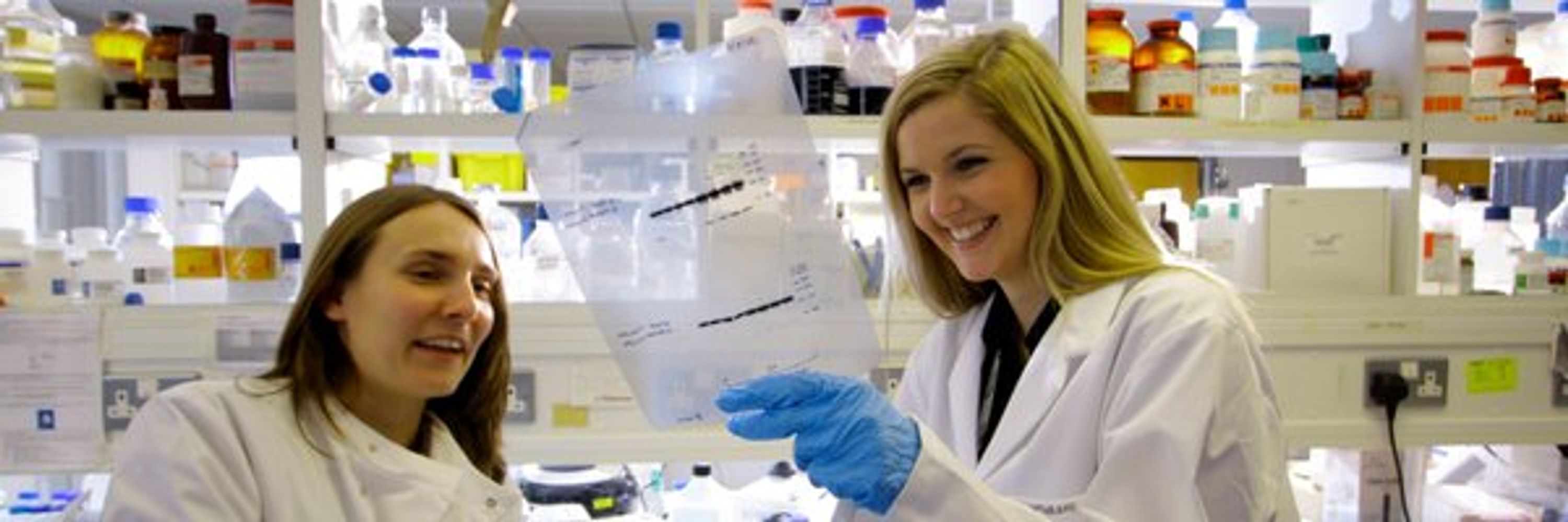 Cardiff University School of Medicine