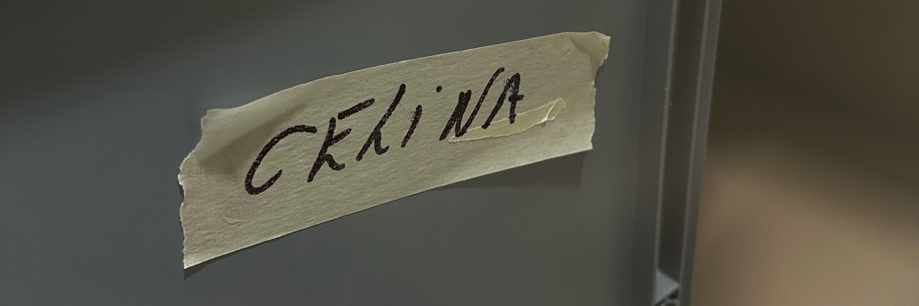 Peters Diary