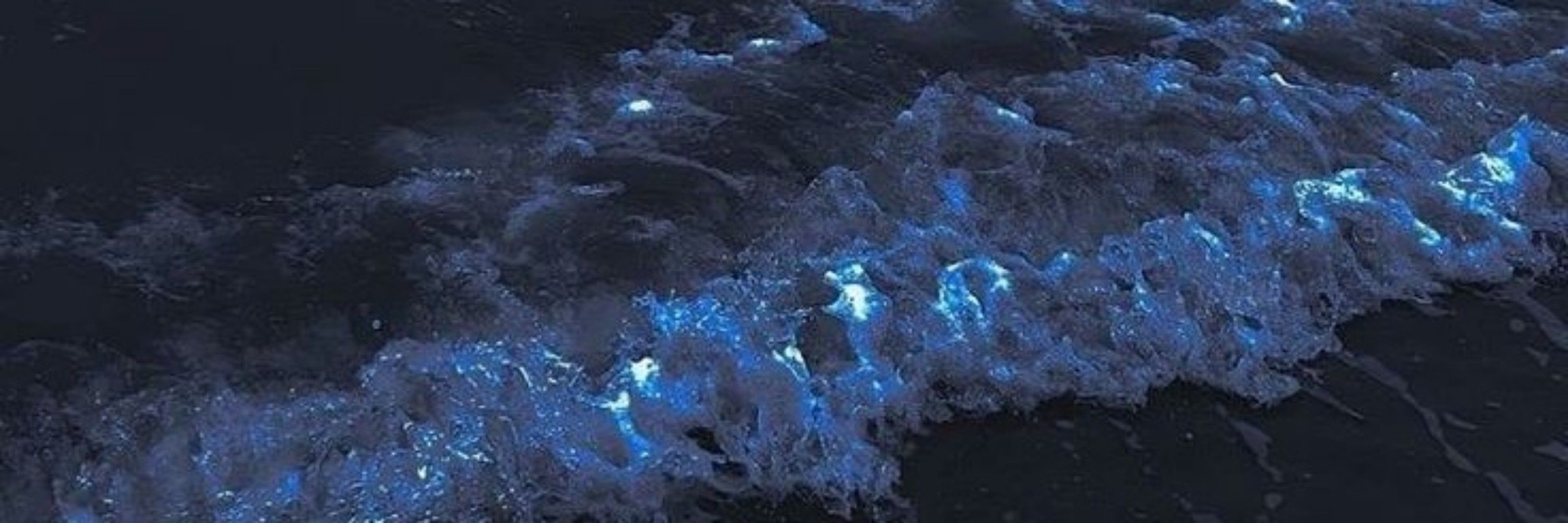 𝒀𝒐𝒚𝒐✮ (𝑳𝒐𝒓𝒆𝒏𝒛𝒐'𝒔 𝒈𝒊𝒓𝒍𝒇𝒓𝒊𝒆𝒏𝒅)