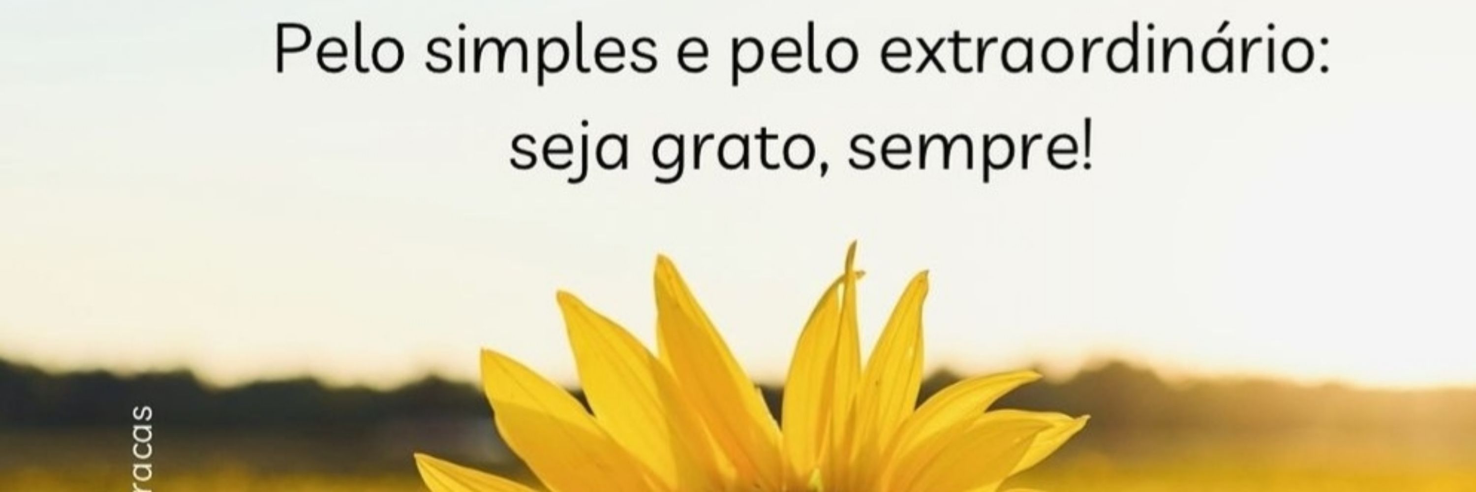 Lau 🌻🕊