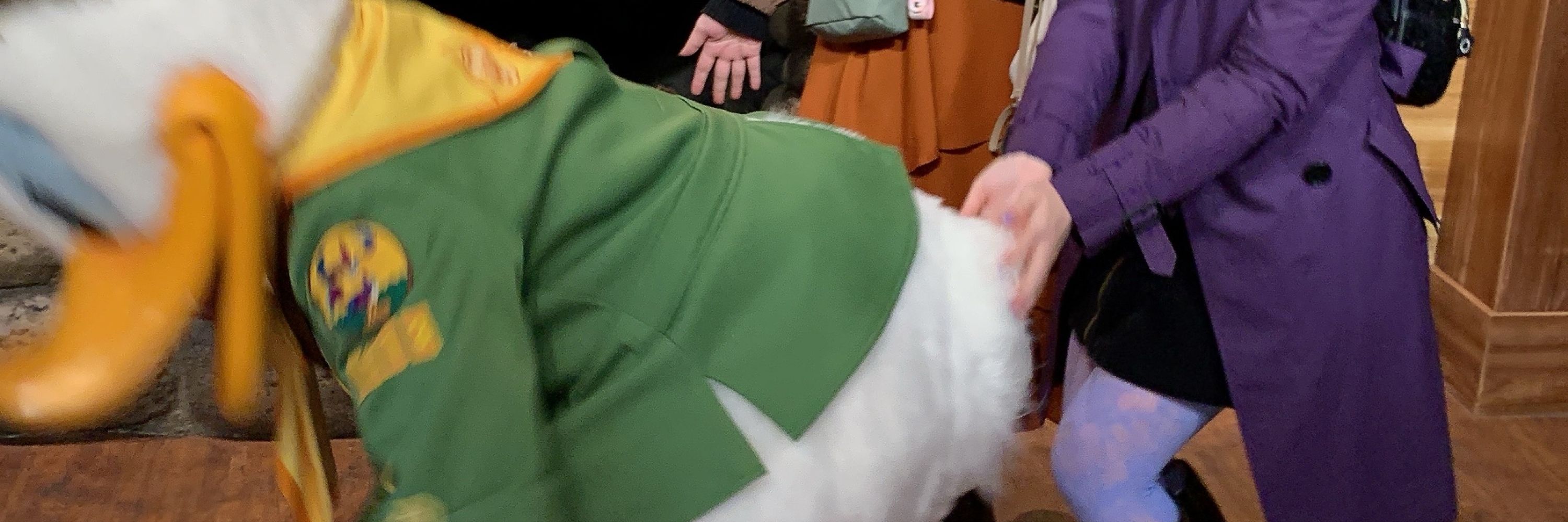ゆい