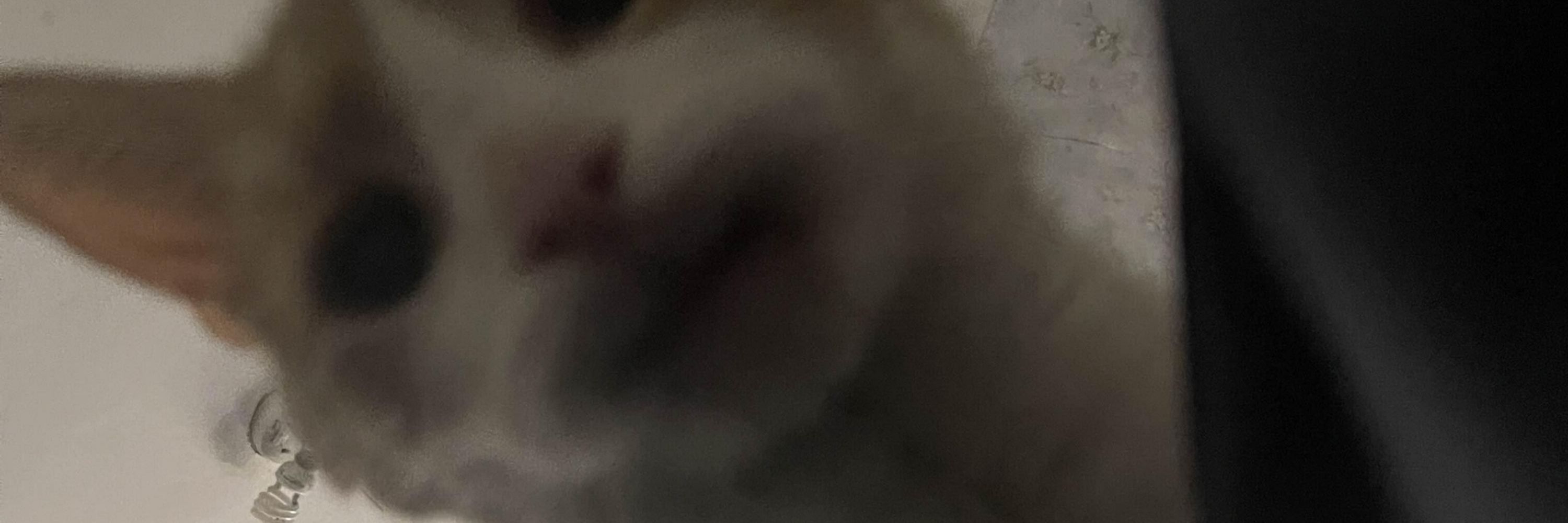 ell