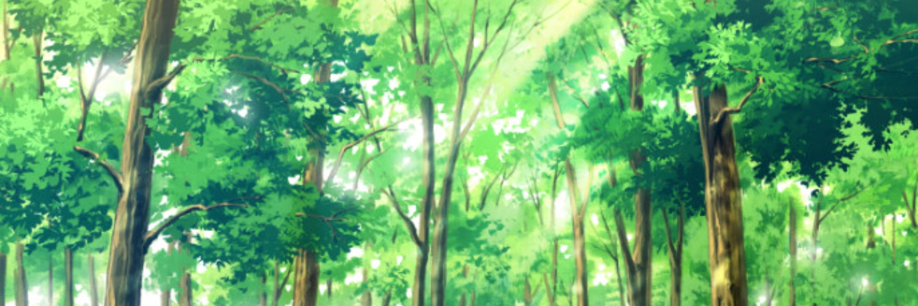 でこ