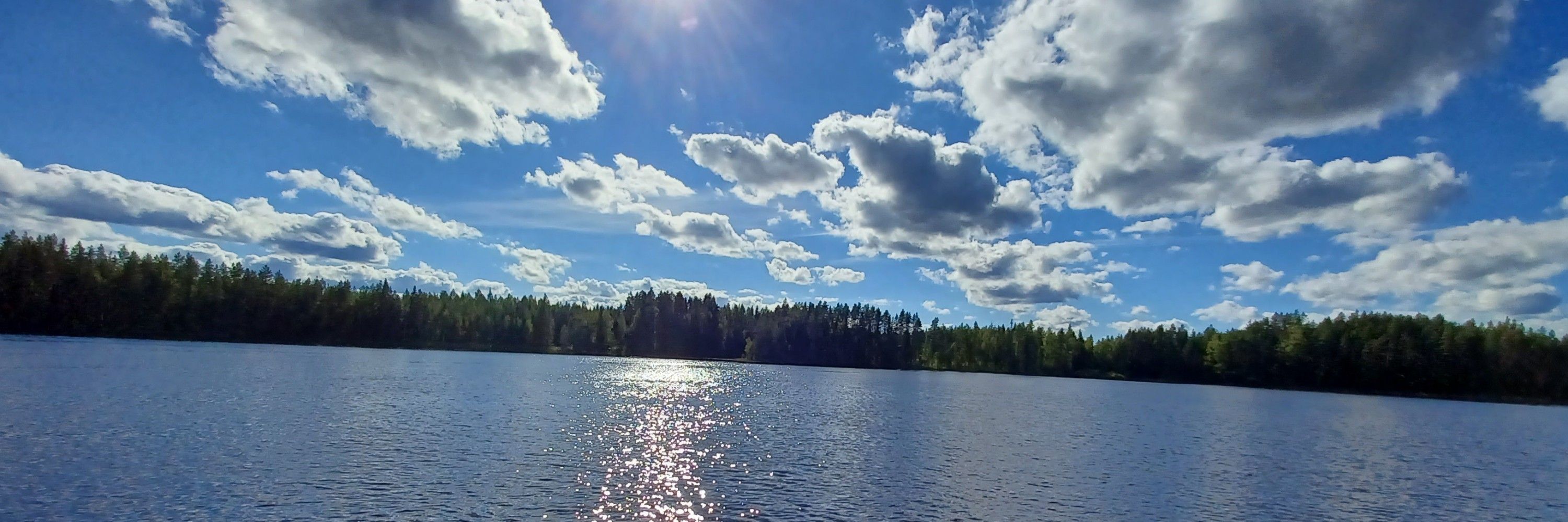 Markku Aho 