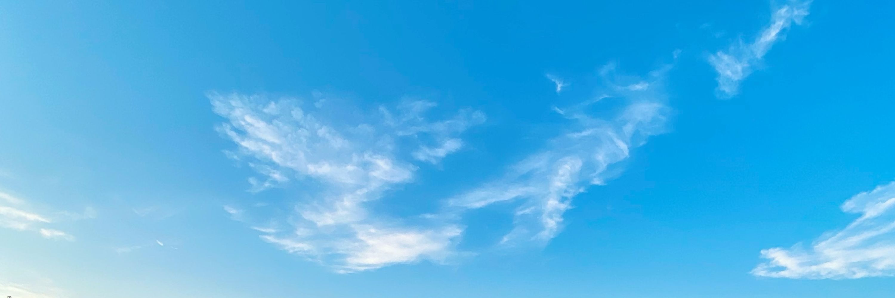 E.