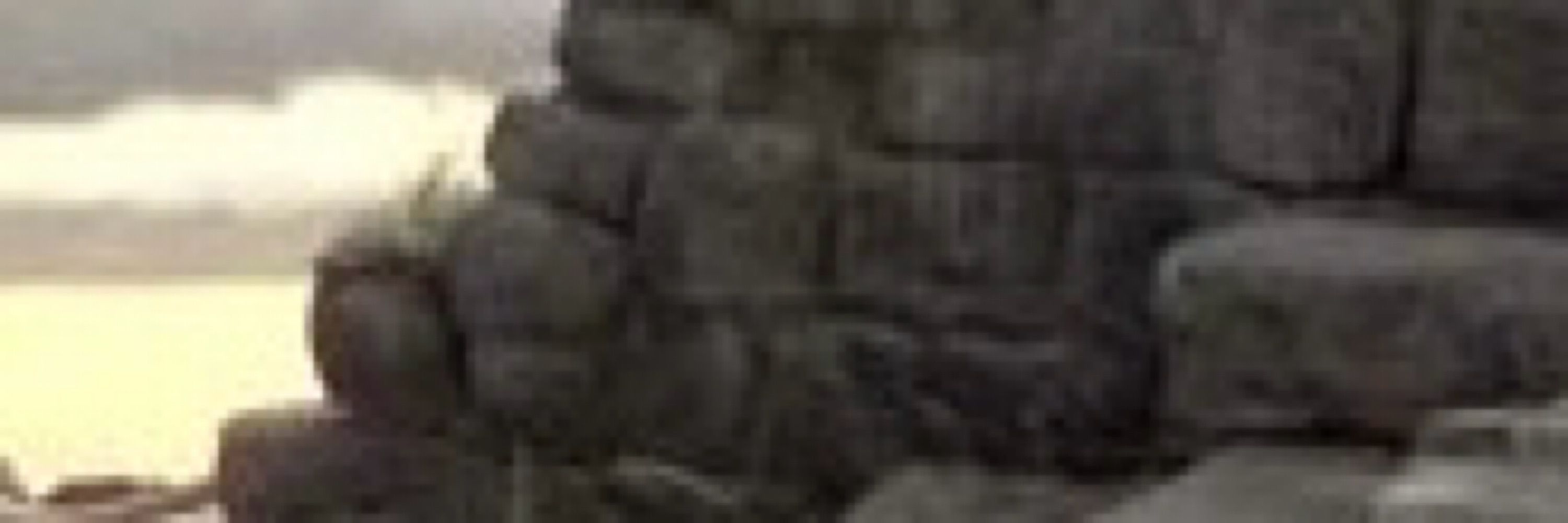 Small Catty (he)