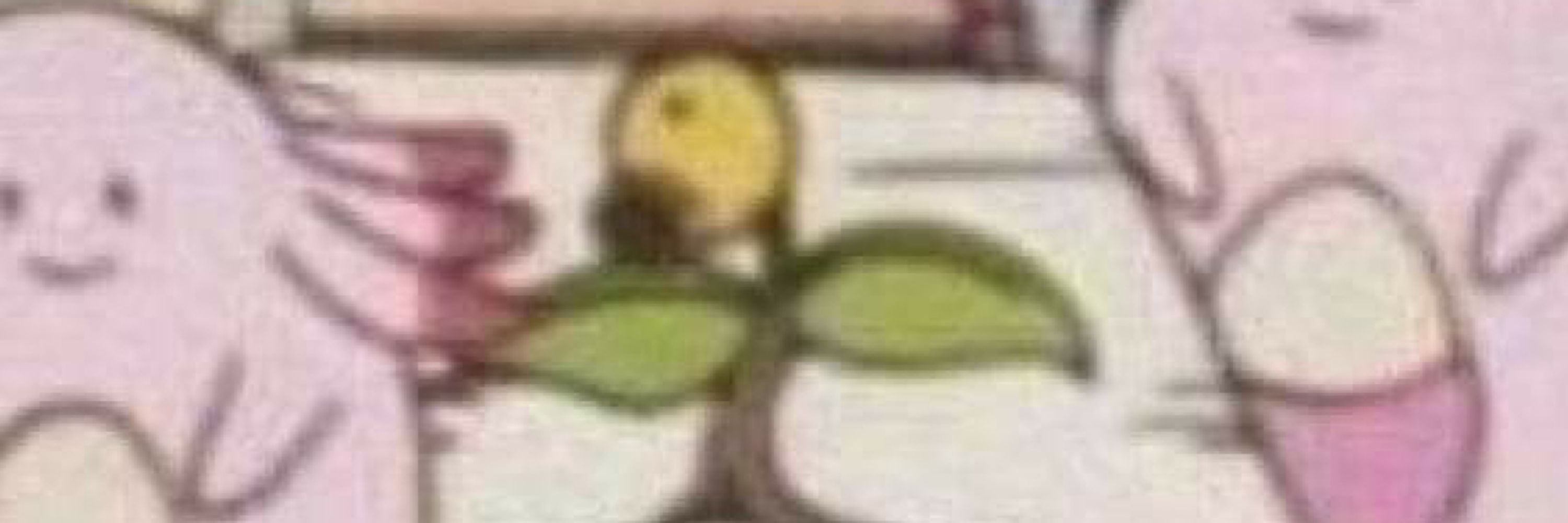 Spoingus