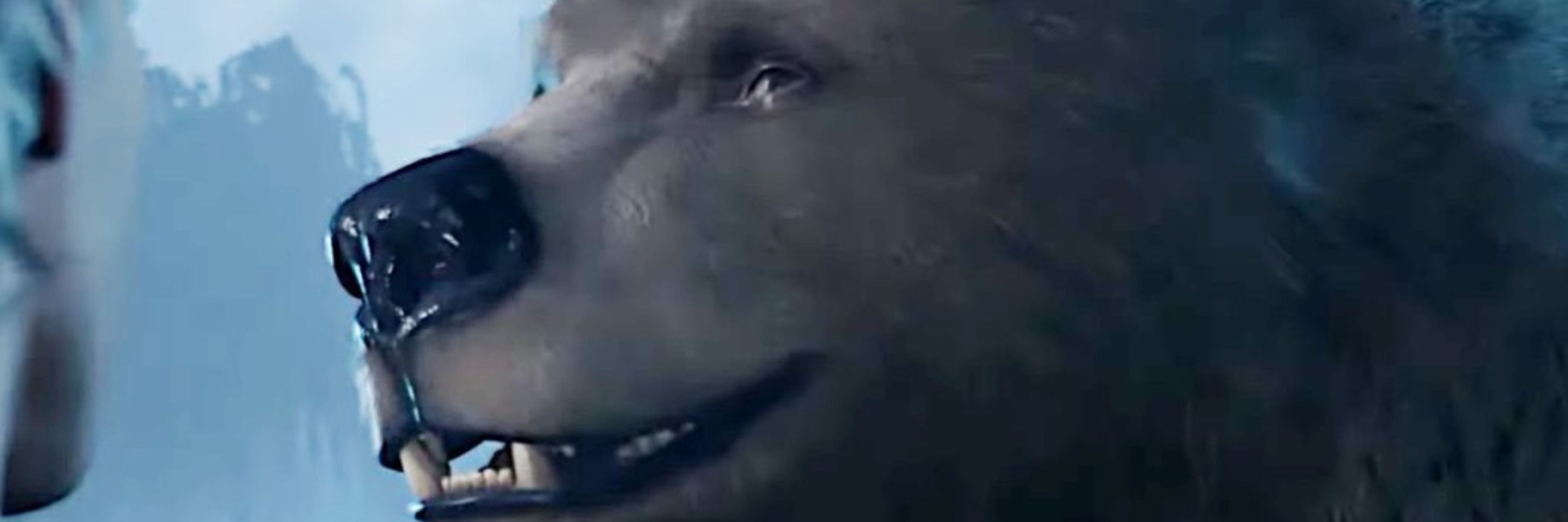 moundsabound