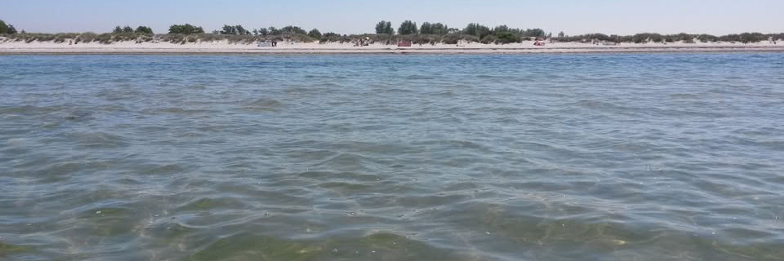 Bottsand