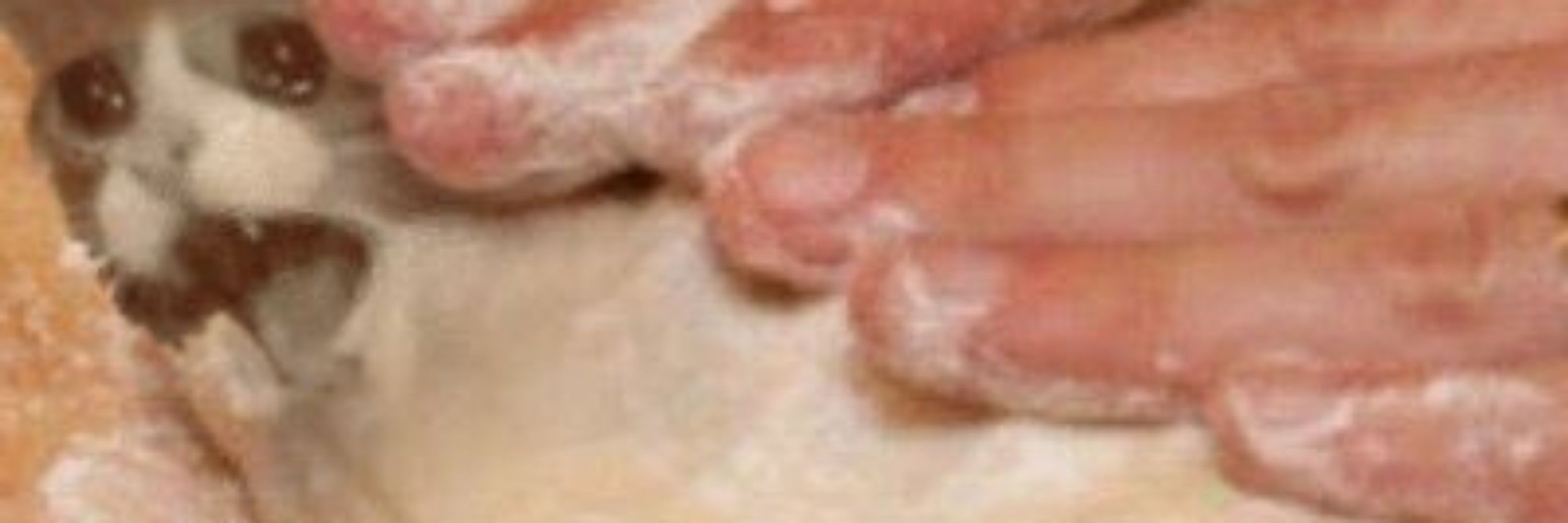 PAC