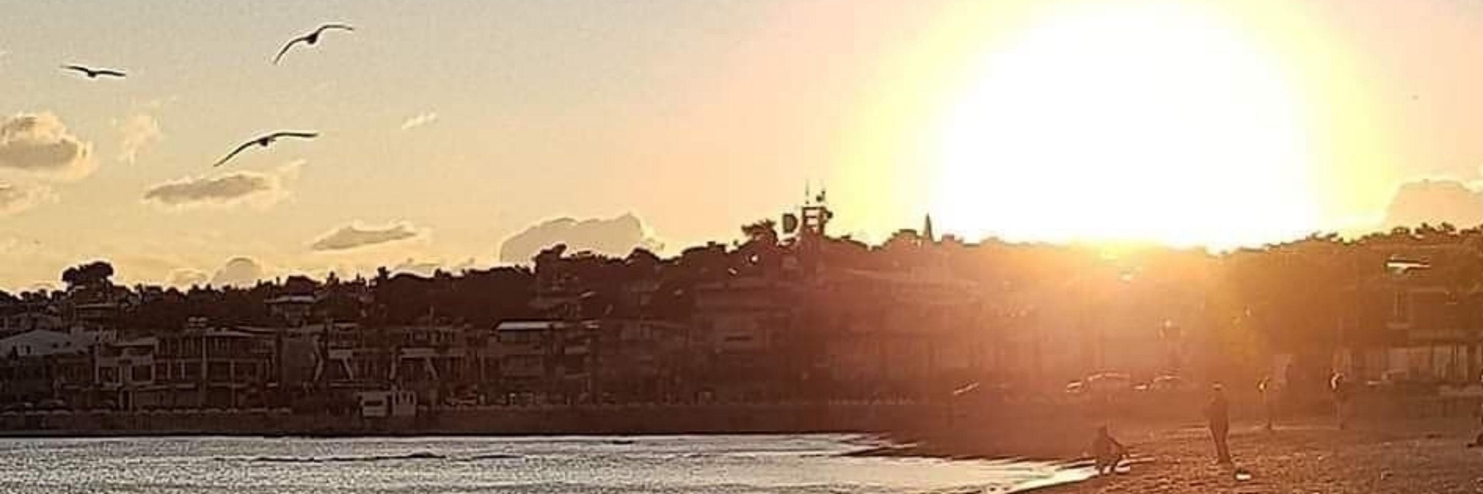 Didim