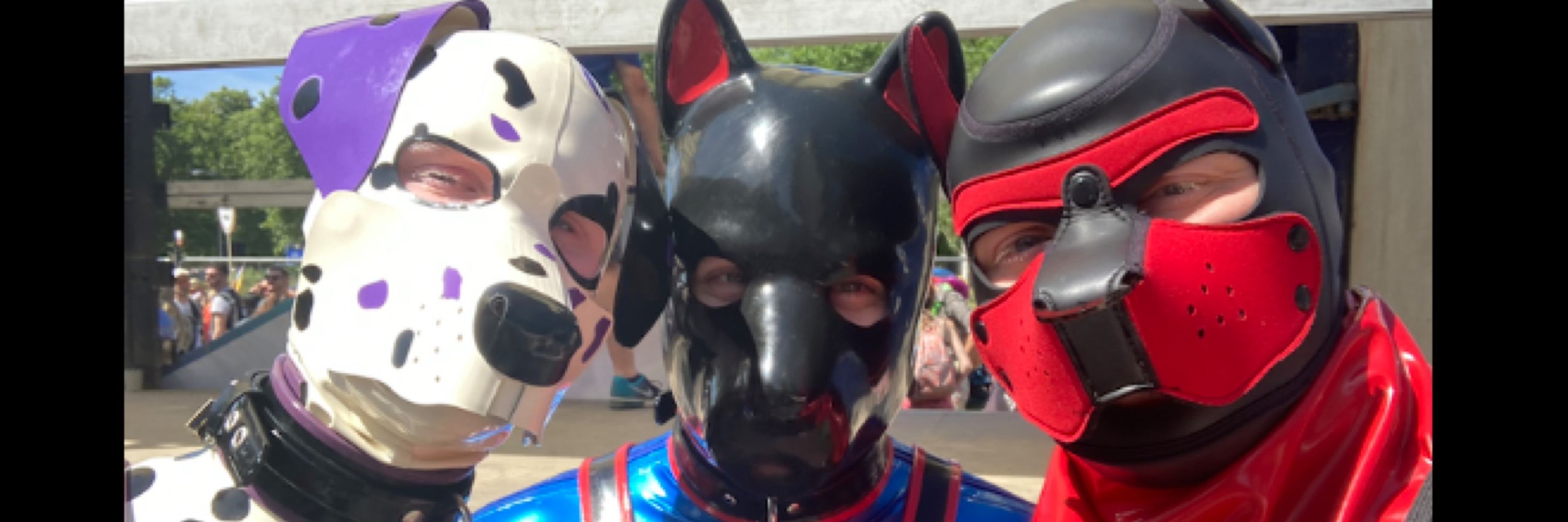 Pup Ram 🏴󠁧󠁢󠁷󠁬󠁳󠁿 🐾