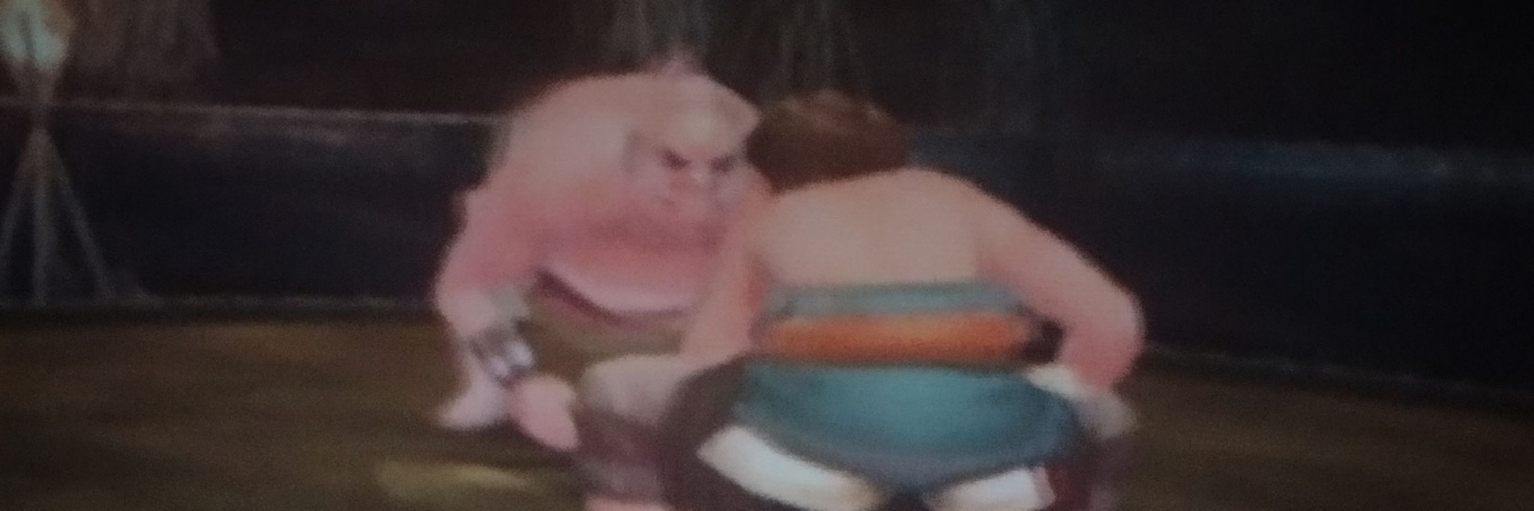 Skywardsword_nerd