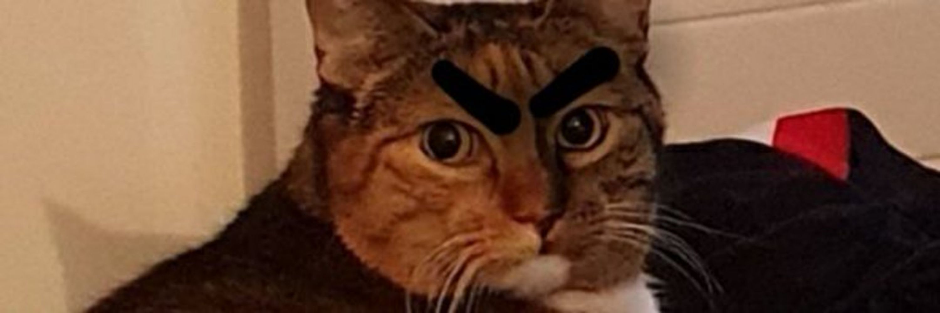 Adam