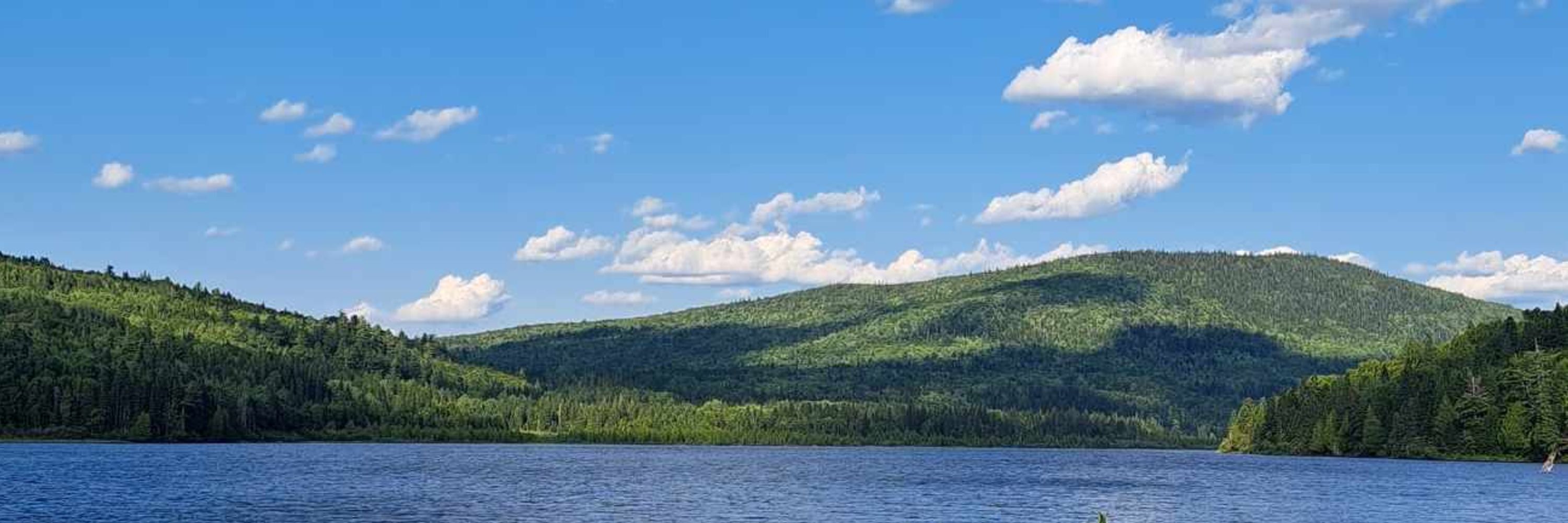 New Brunswick Invasive Species Council