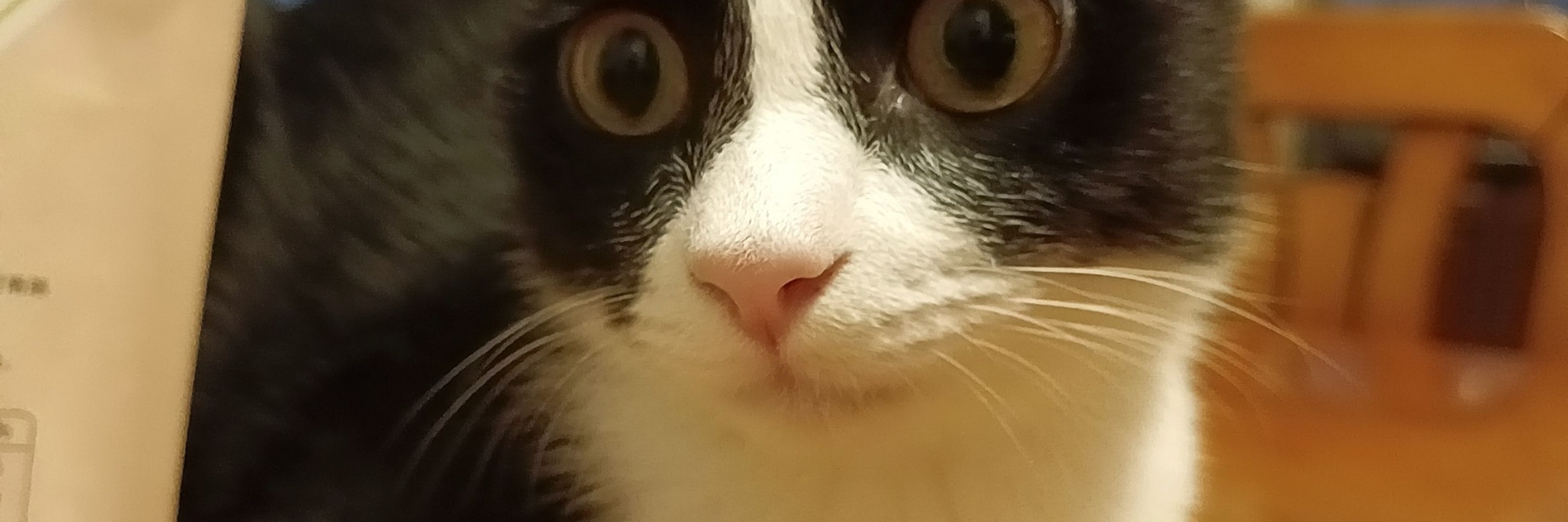 空杳