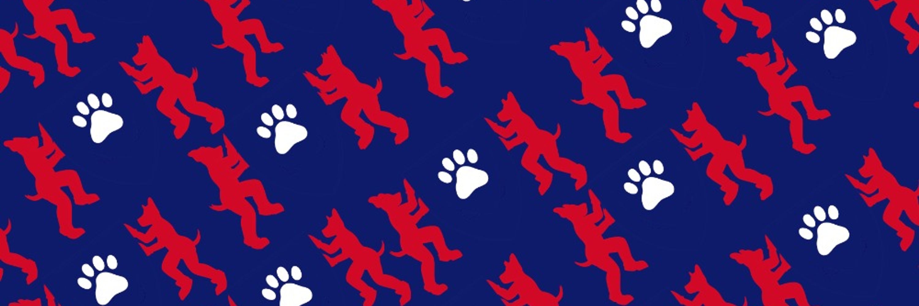 Team Puppy and Handler UK