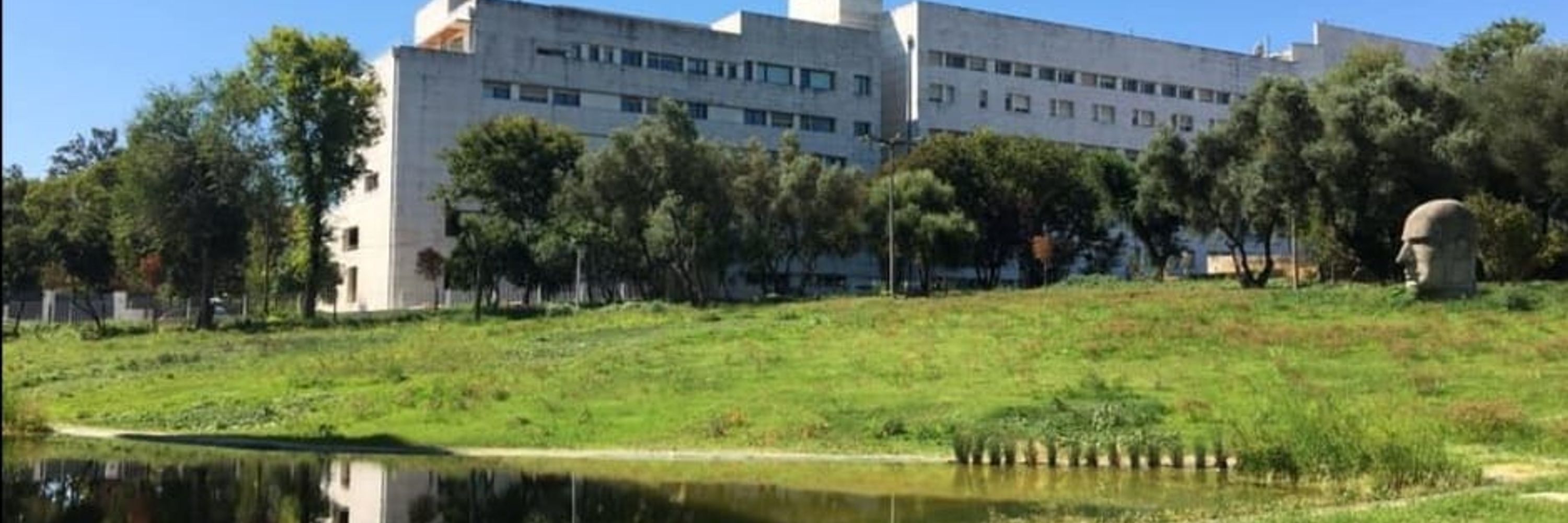 Instituto de Ciências Sociais - Universidade de Lisboa