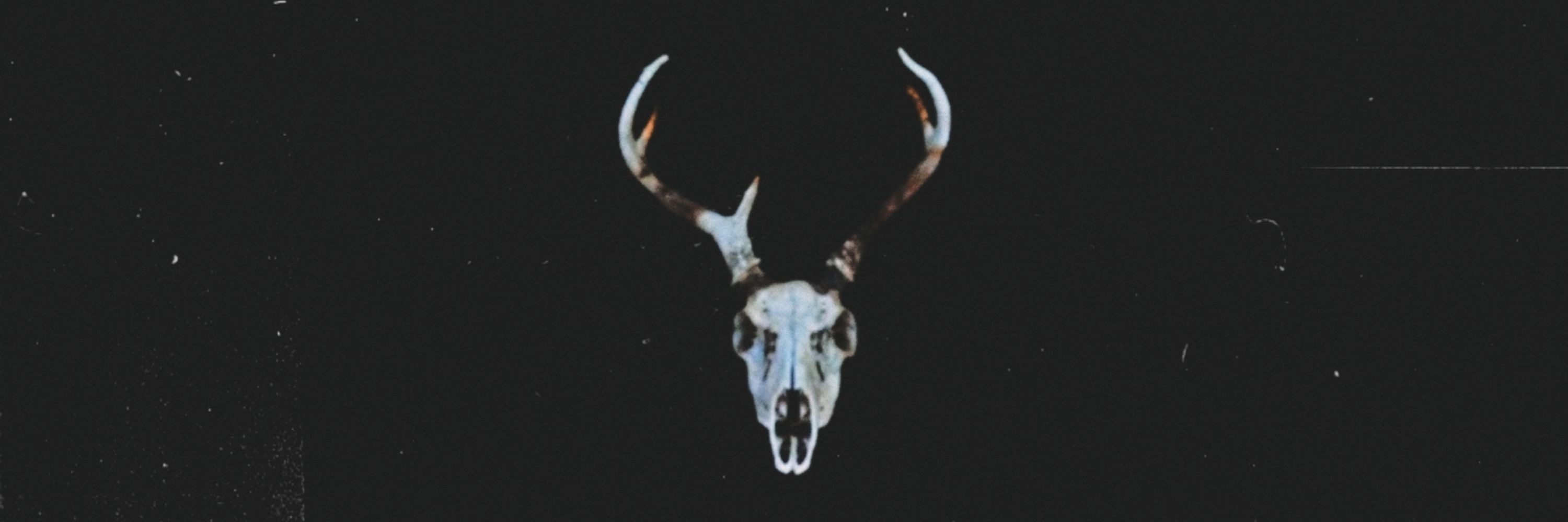 𝐚𝐥𝐞𝐜𝐭𝐨.