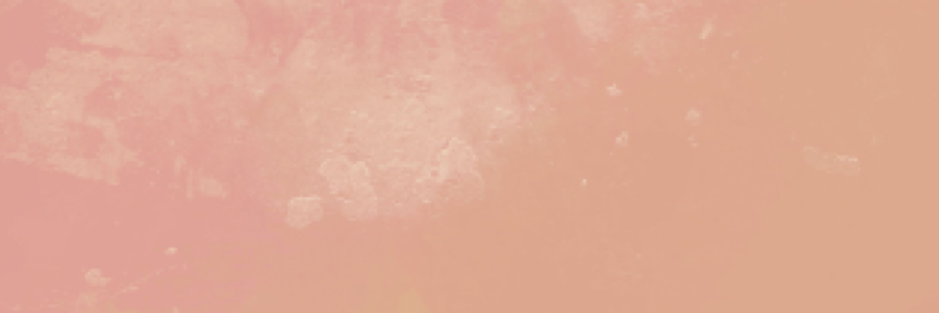 𝓕𝓻𝓮𝓪𝓴𝔂 Aster 🔞
