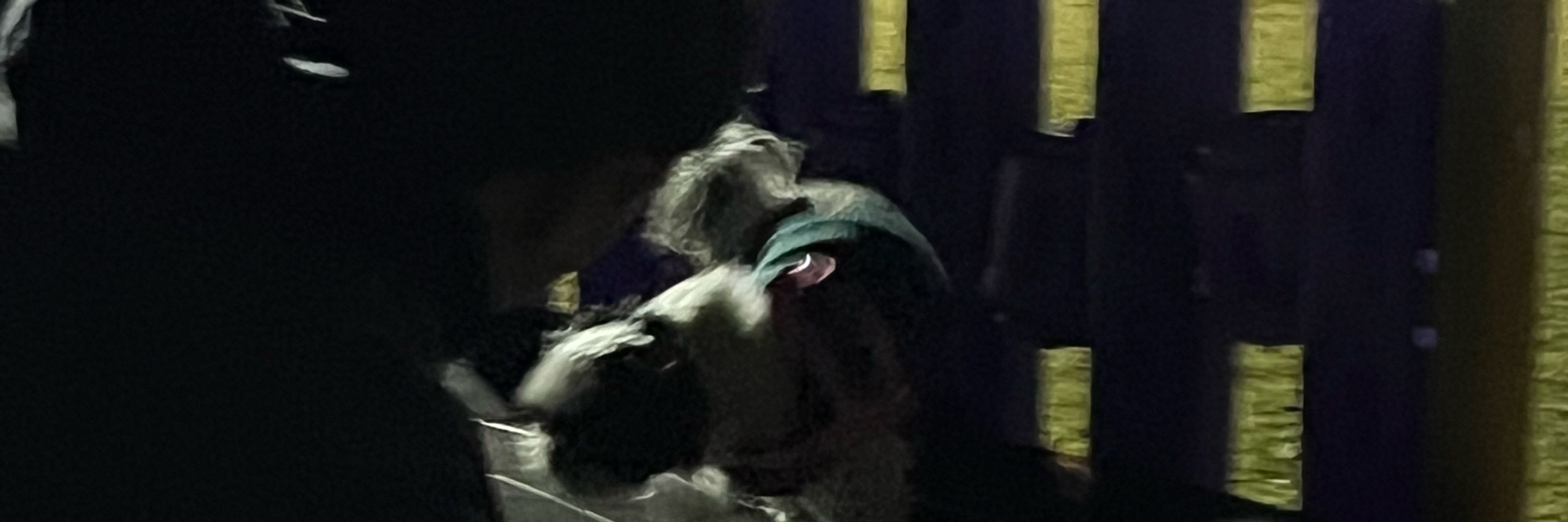 edgar