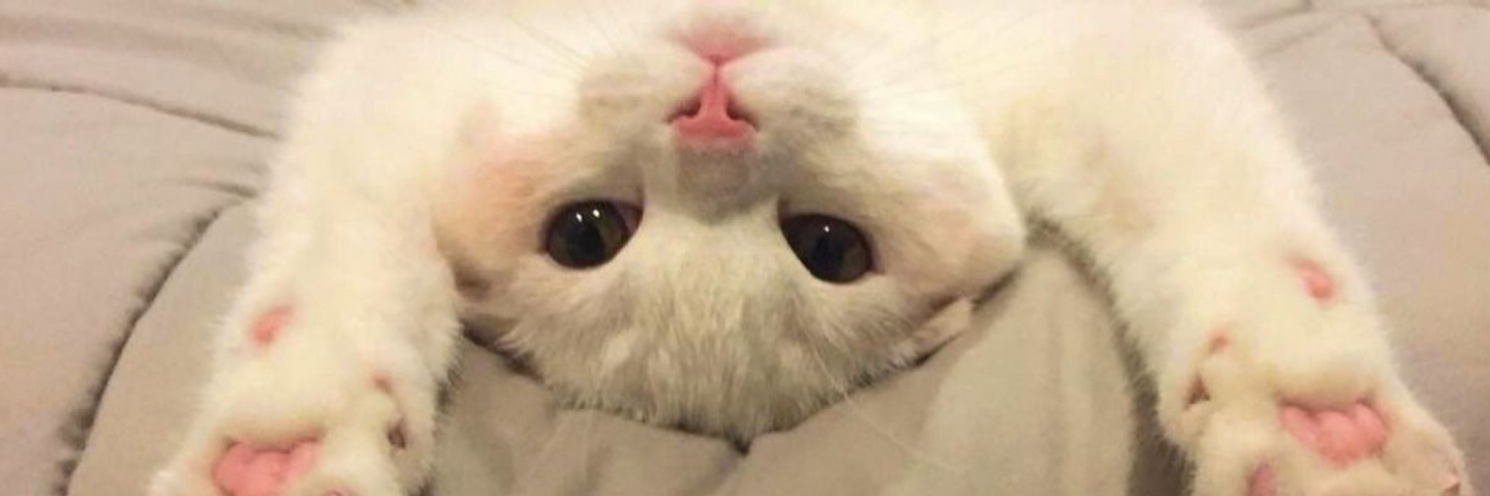 :(