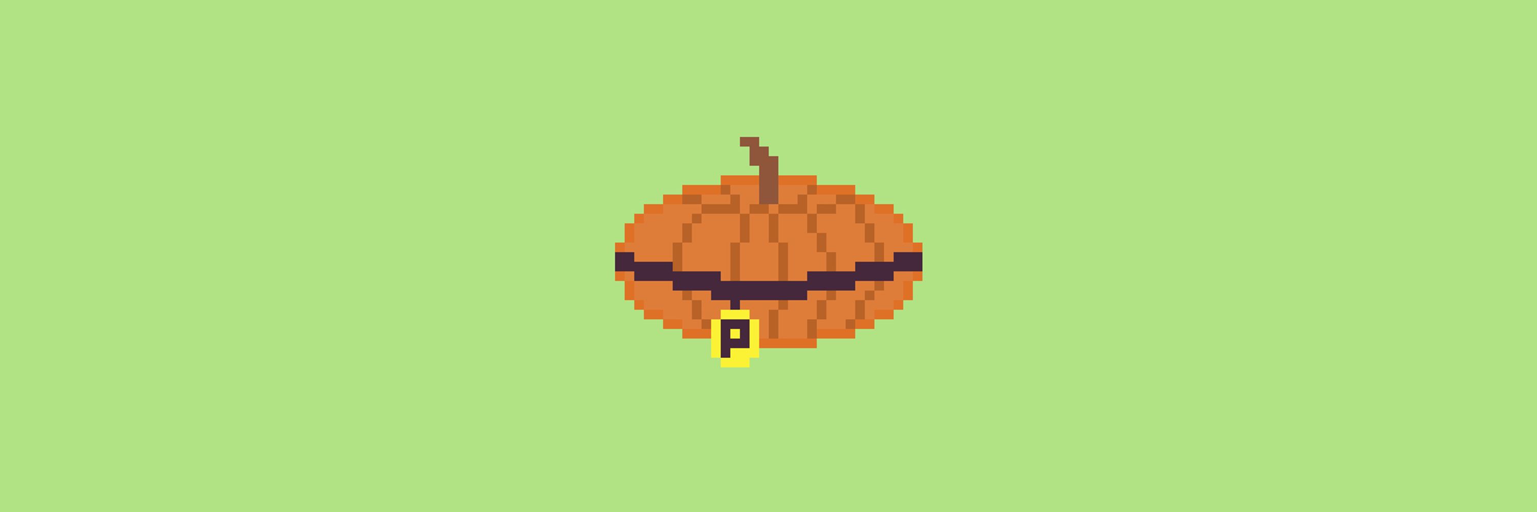 Pet Pumpkin