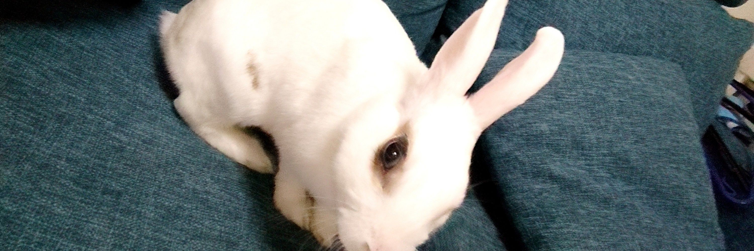 ともみ