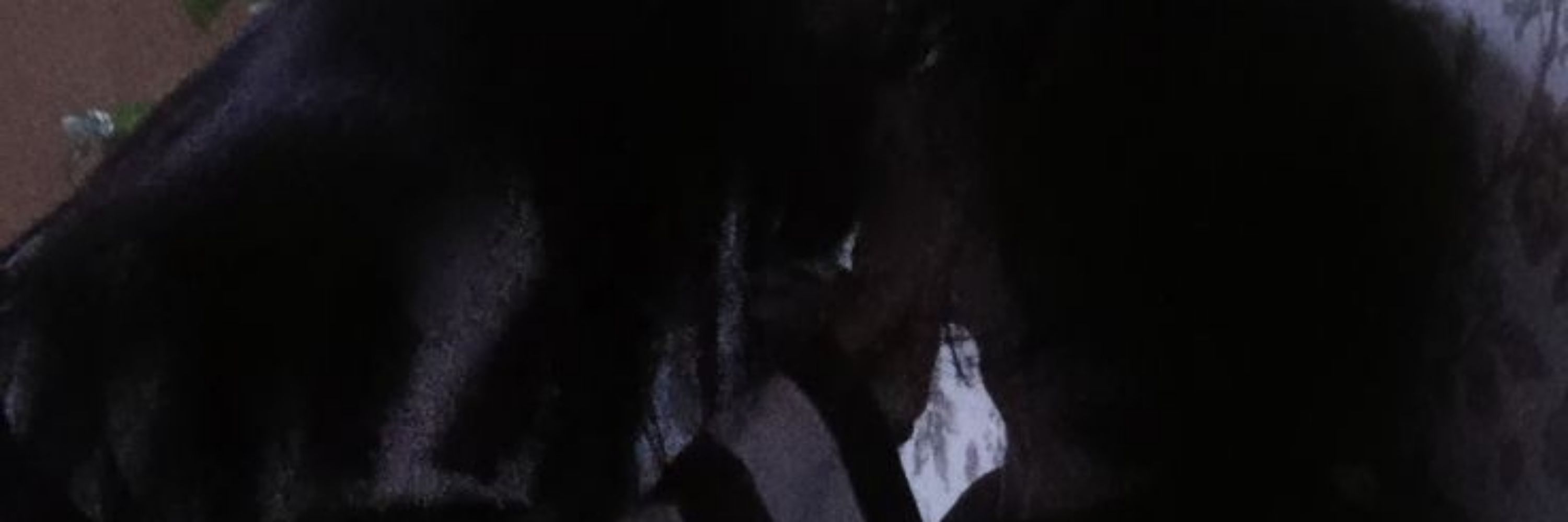 g0sth_darkzinha