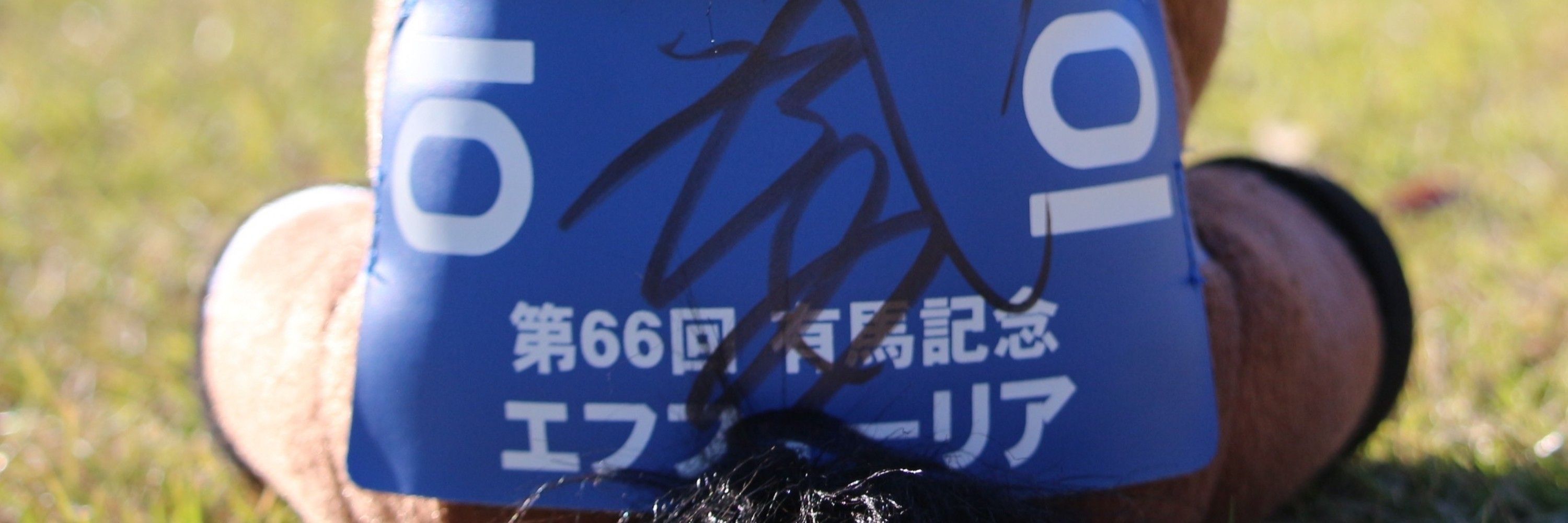 理絵