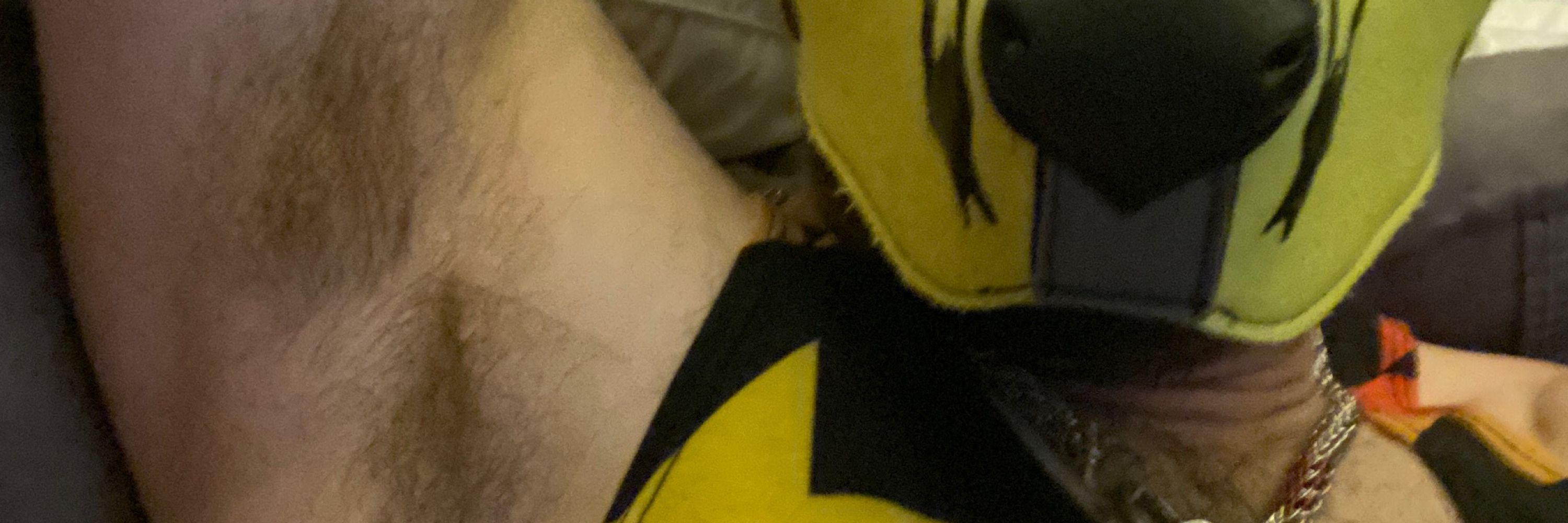 Pup Jolt