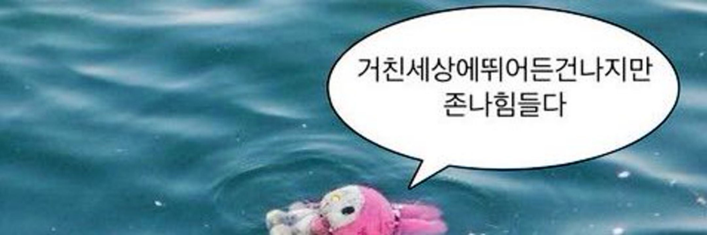타이로프