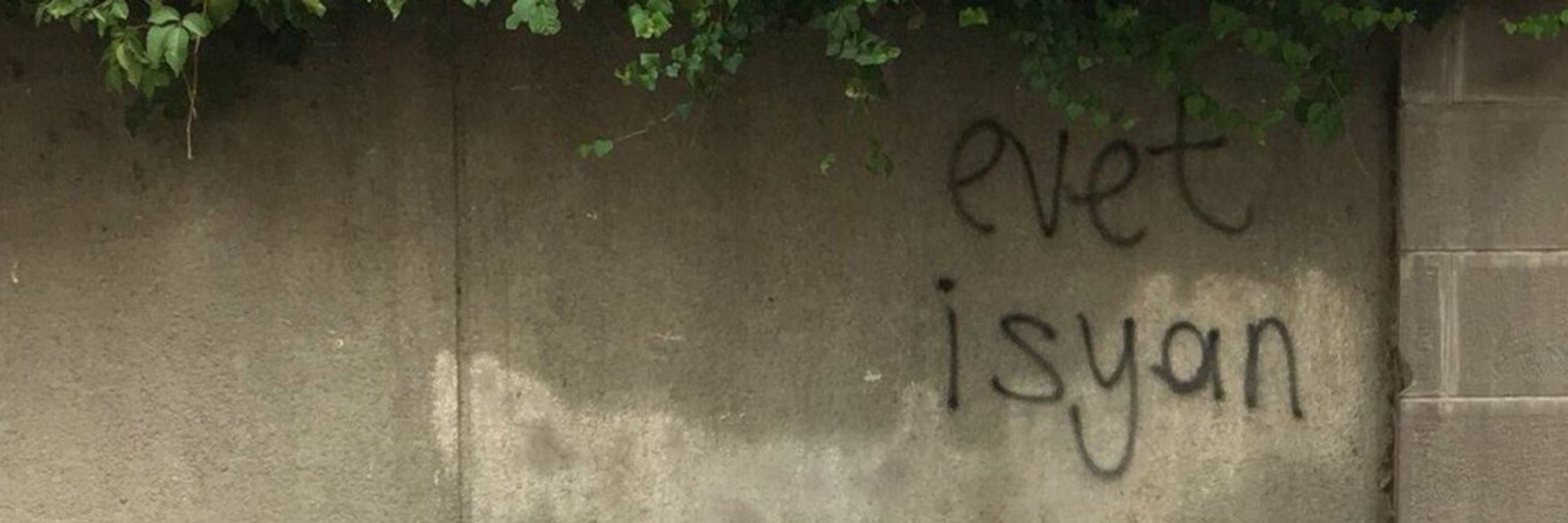 tc capulcu sayin levent göt