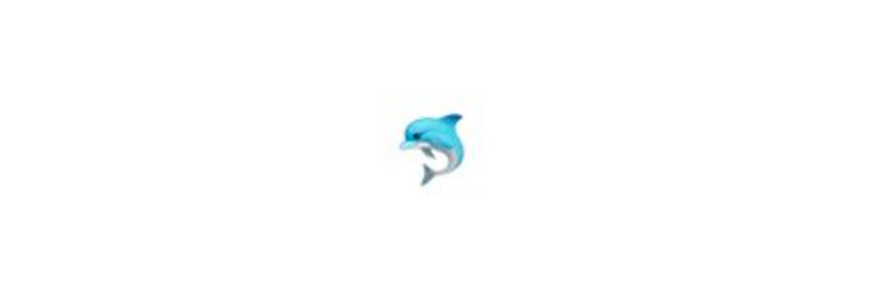 🐬