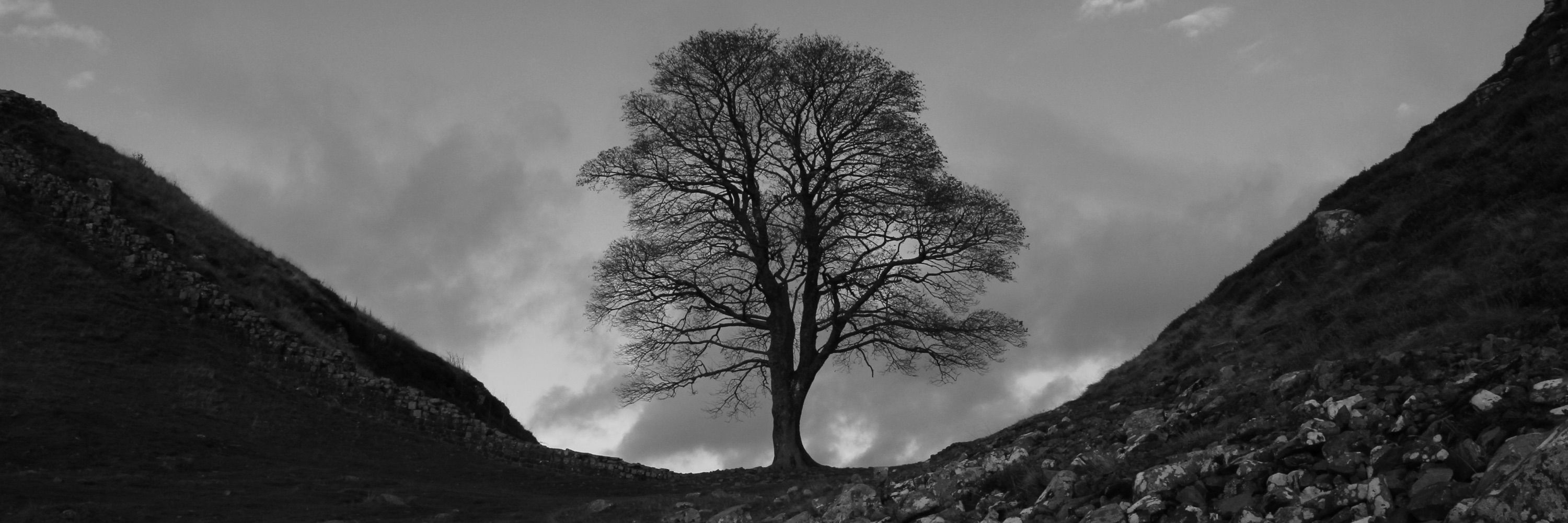 Paul Morrison