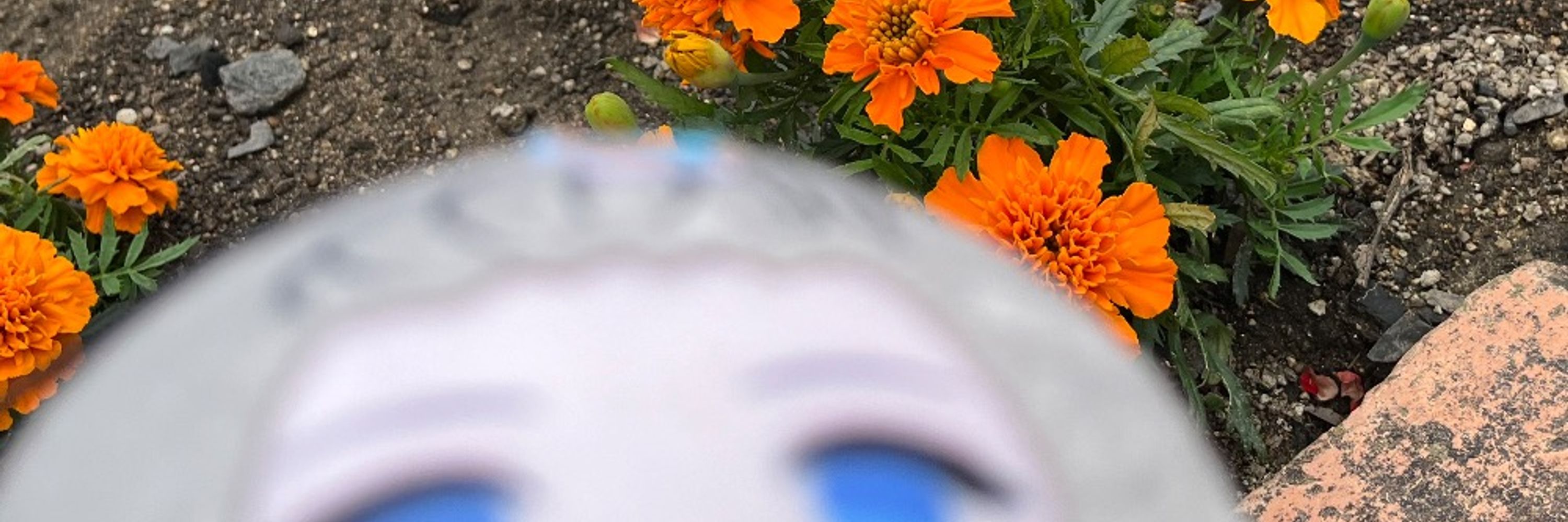 きうゅり