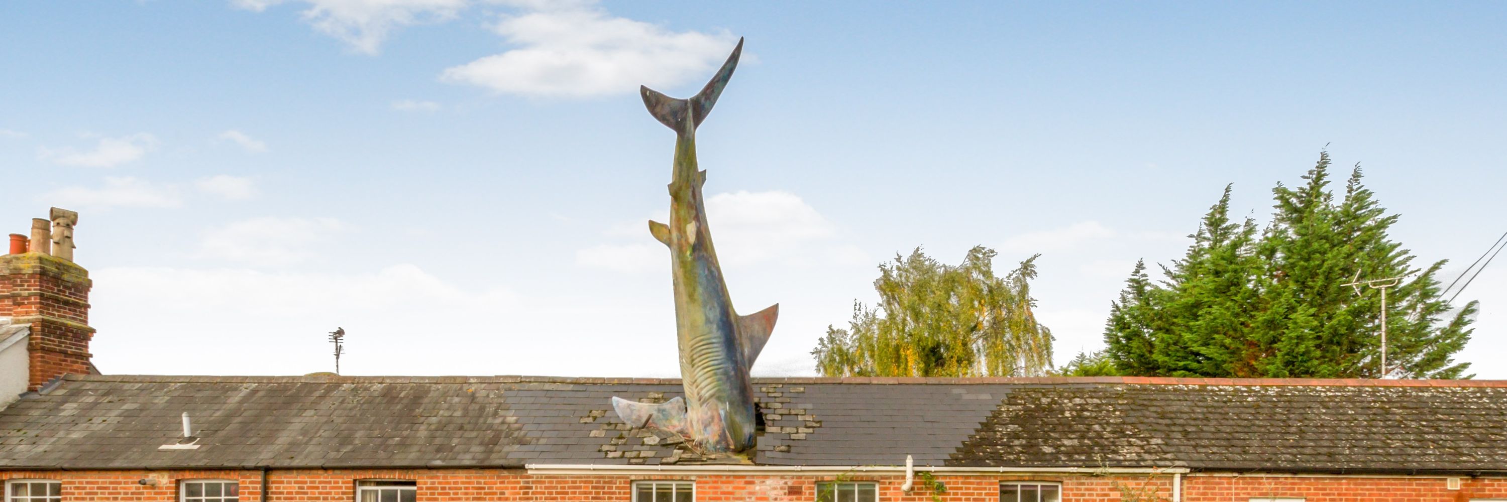 Magnus Hanson-Heine (The Headington Shark)