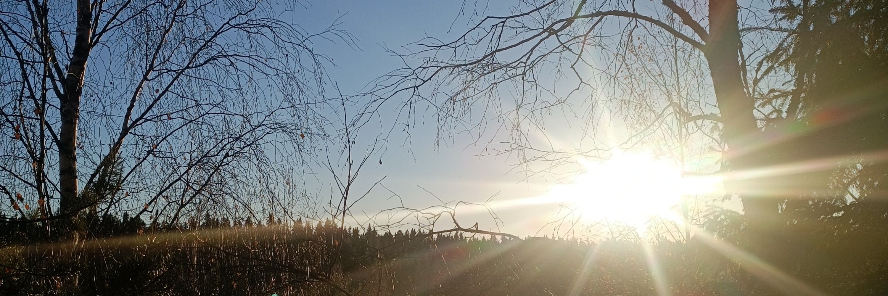 сладкий летний ребёнок