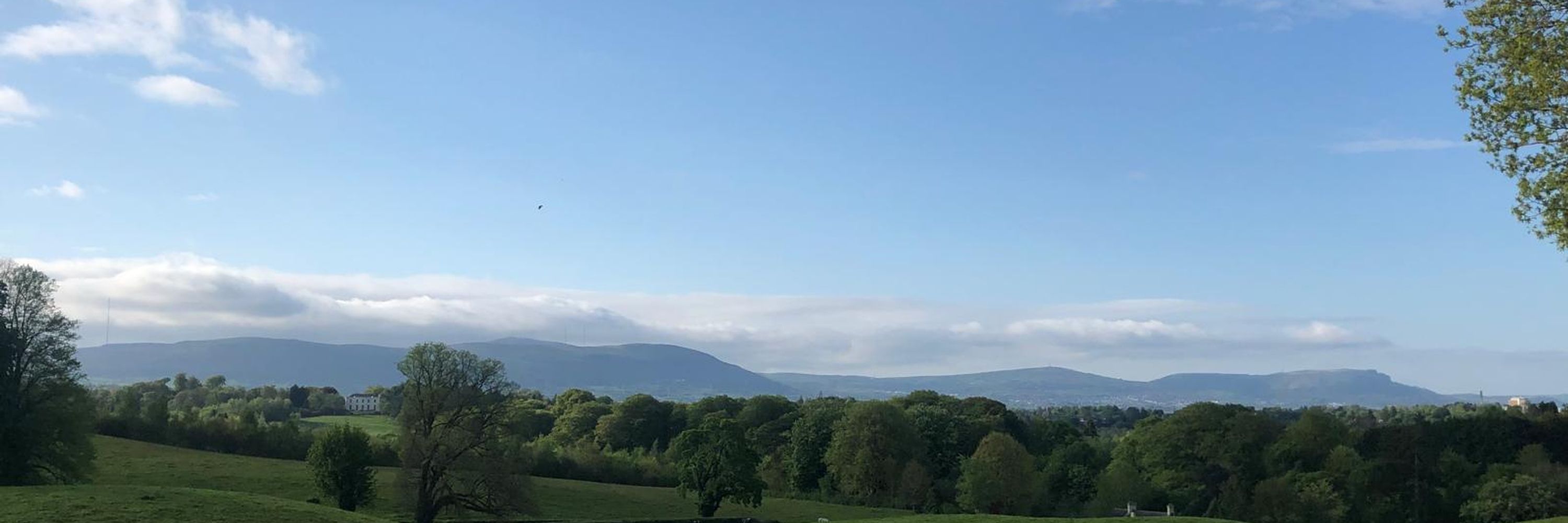 Belfast Hills Partnership