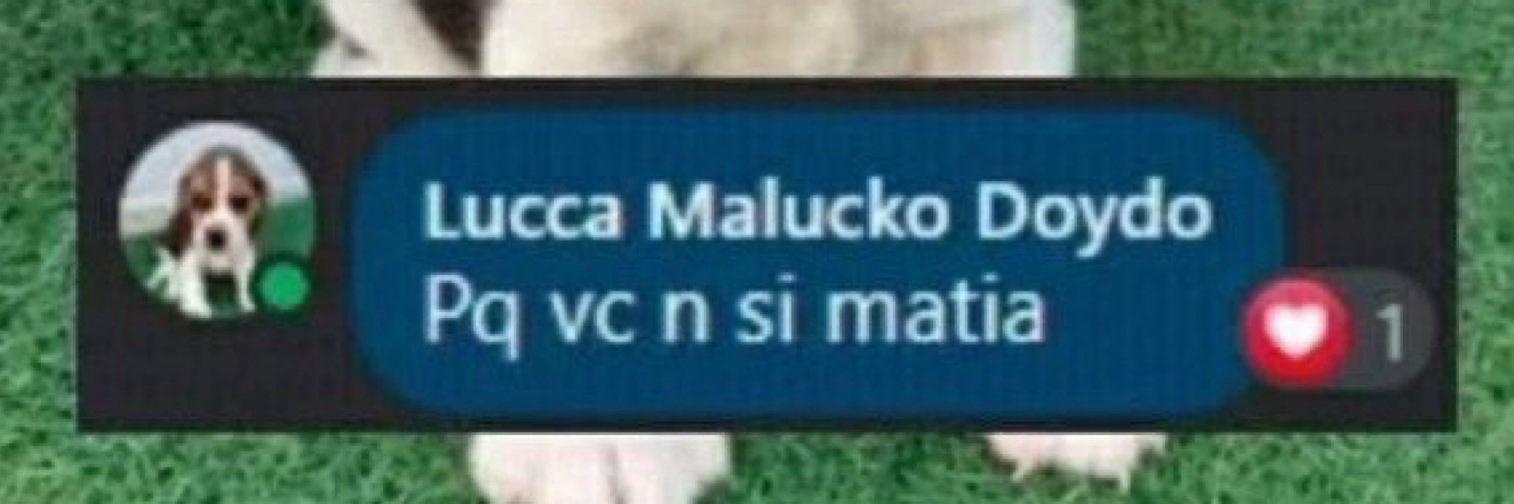 mestre marola