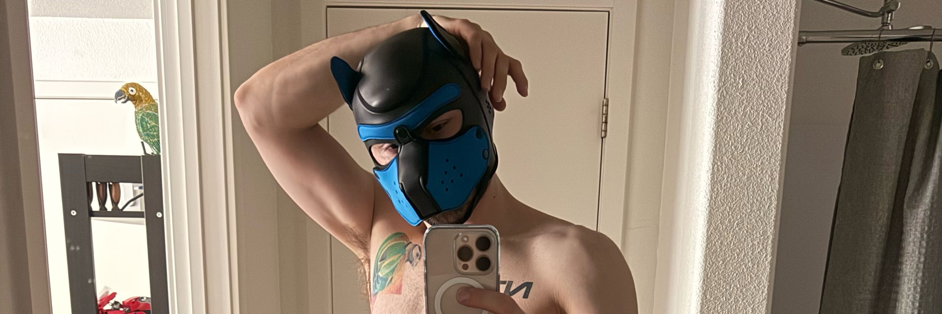 Pup Zeb