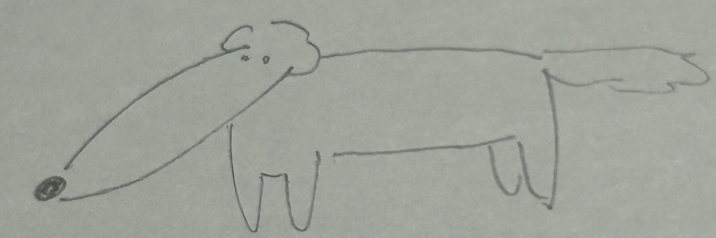 ノまど