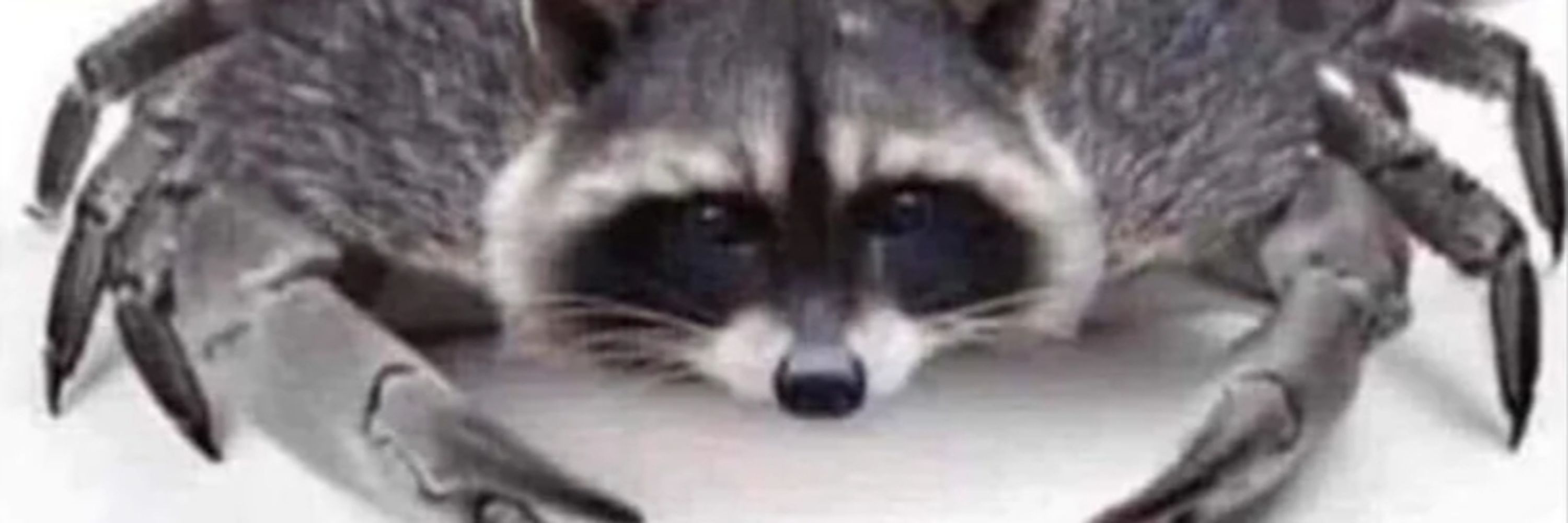 Jifty