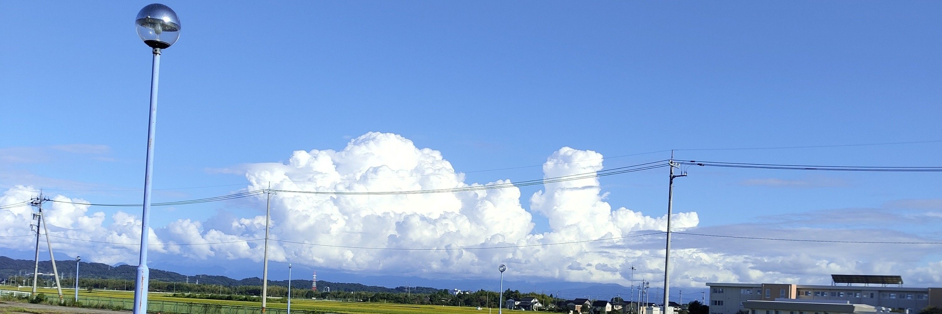 白金すん