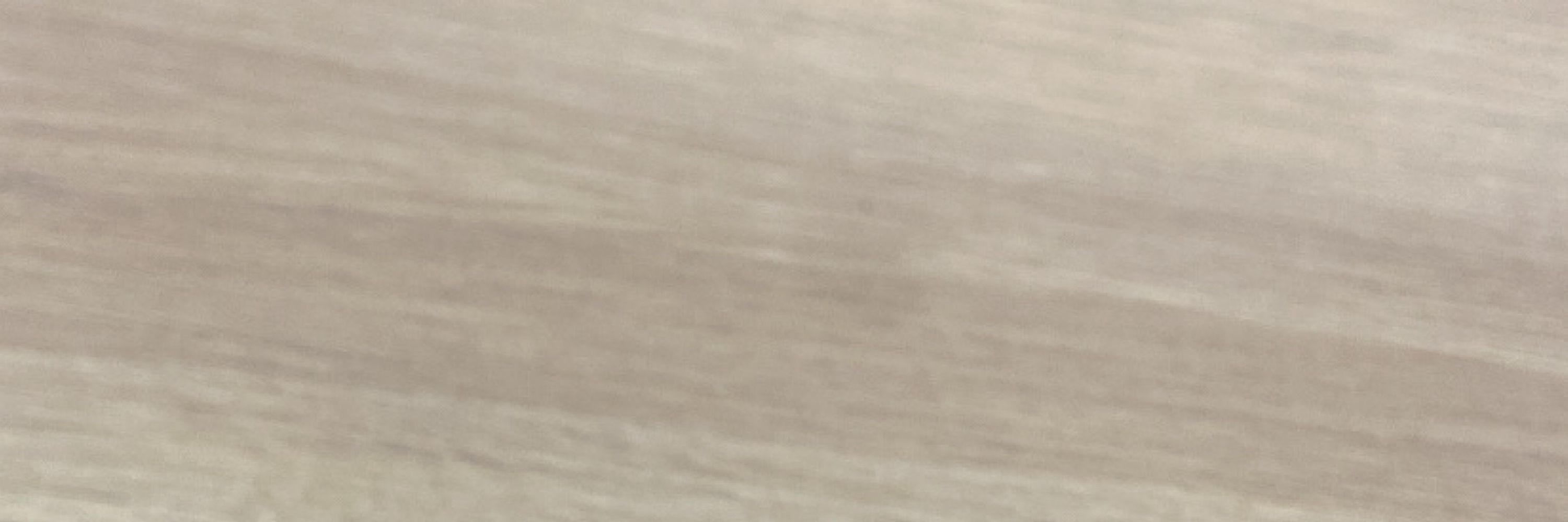 茶