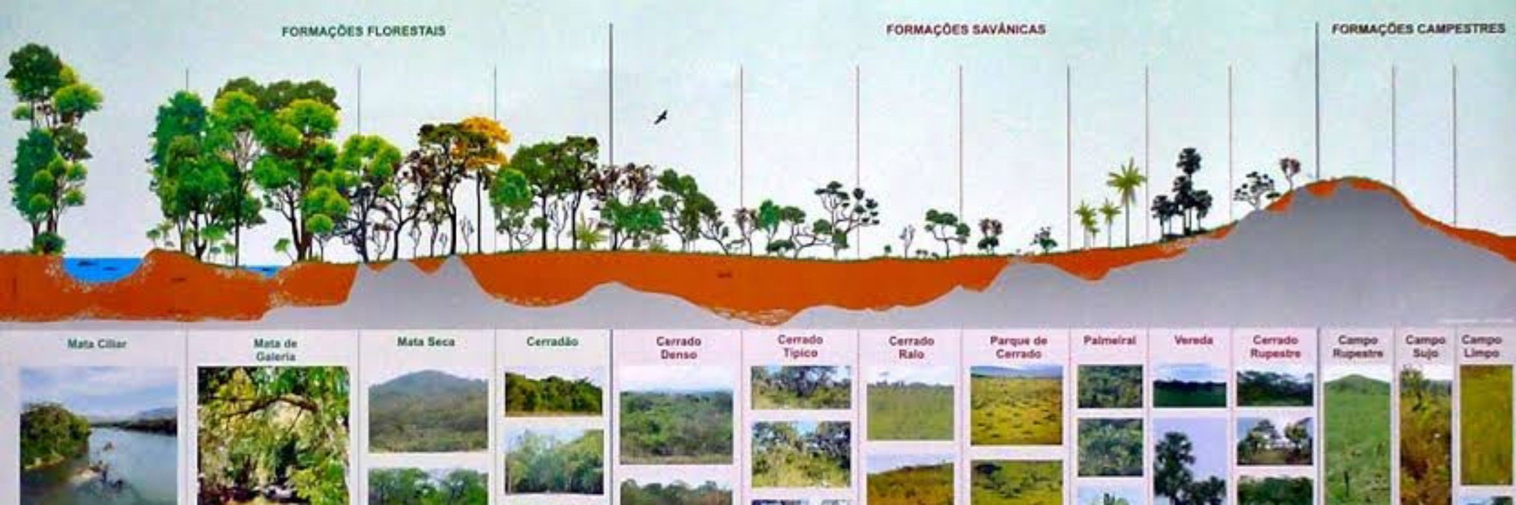 Herica de Paula