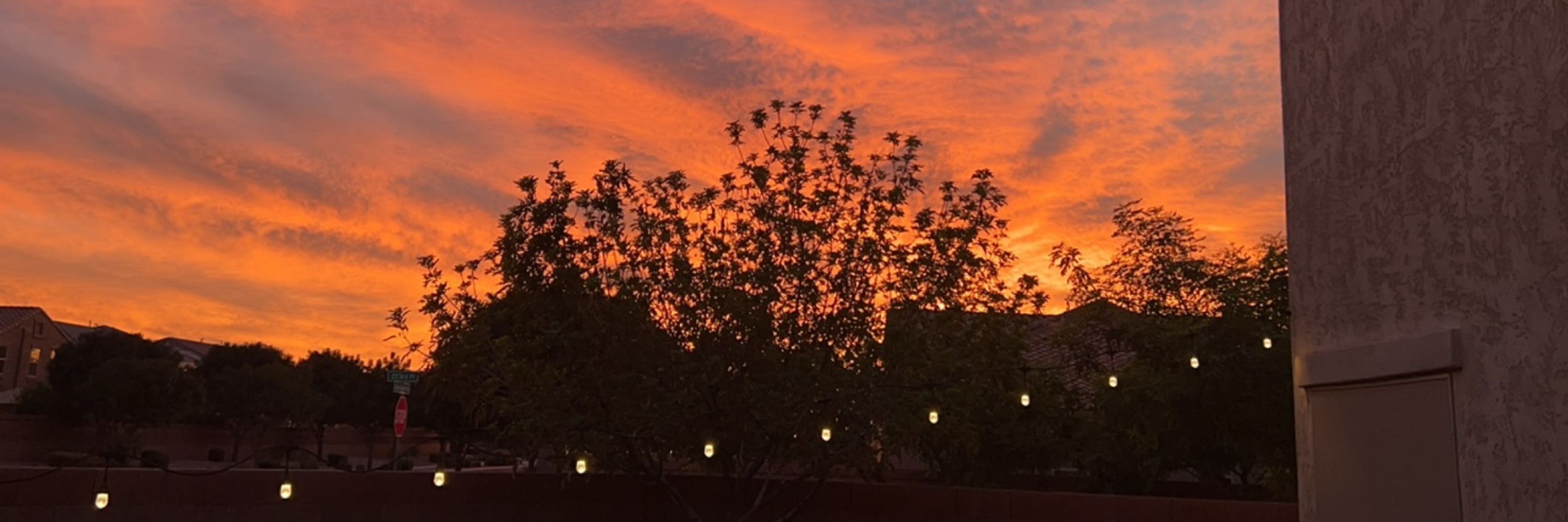 Sunset 🦦🧡